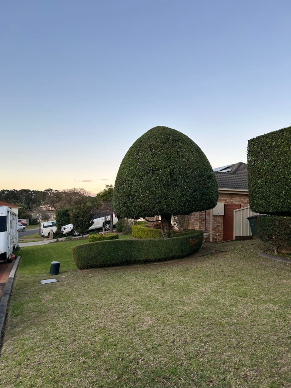 A shaped topiary and neatly landscaped front garden kept in perfect form