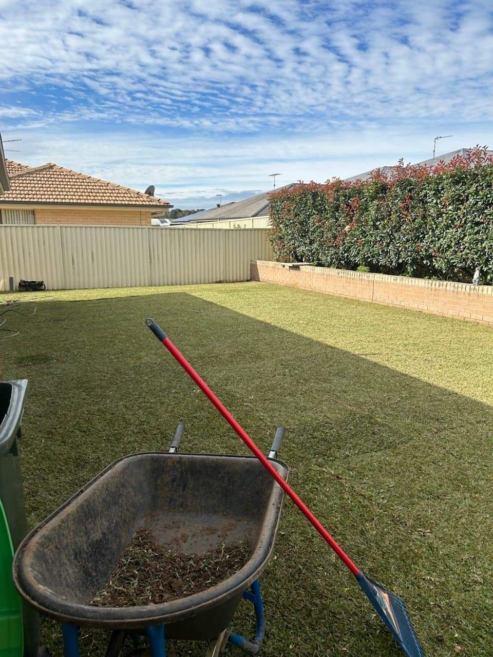 Freshly mown, striped backyard lawn in Western Sydney